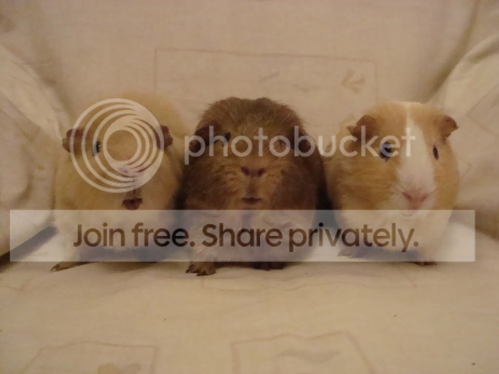 DSC00987.jpg