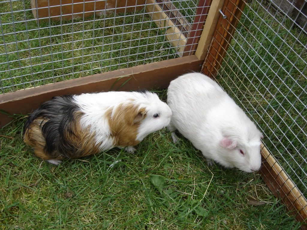 DSC01022.jpg