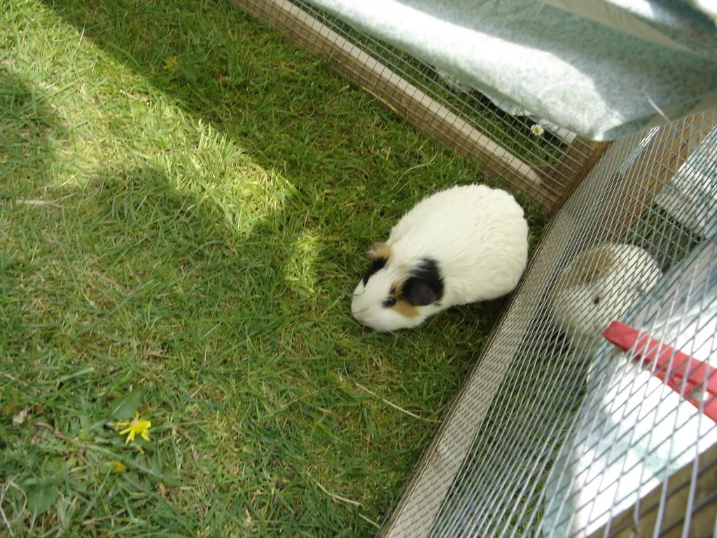 DSC01023.jpg