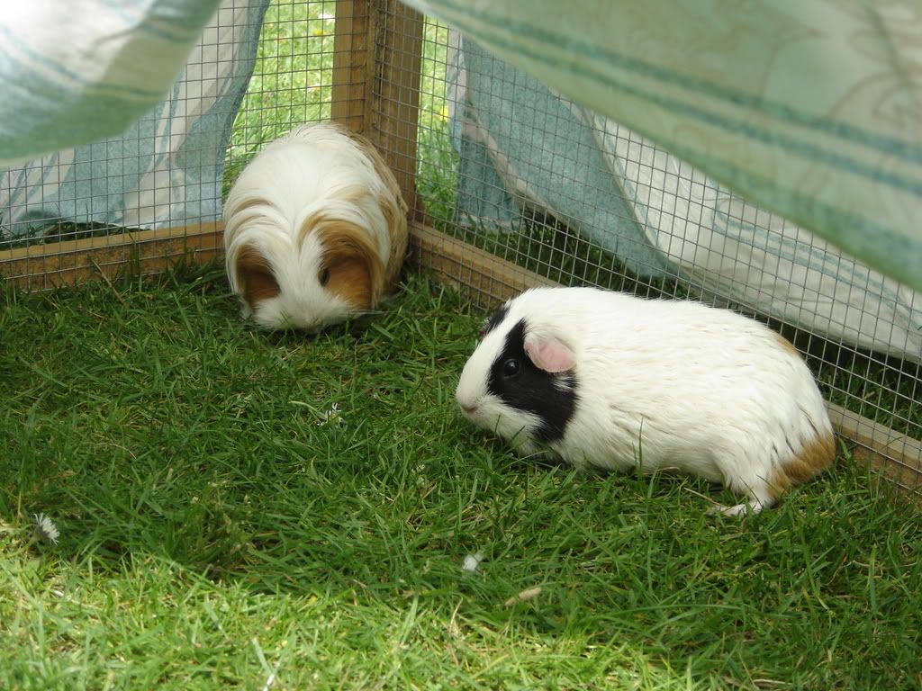 DSC01024.jpg