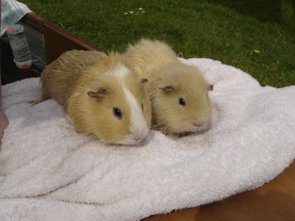 DSC01025.jpg