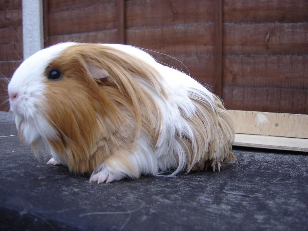 DSC01034.jpg