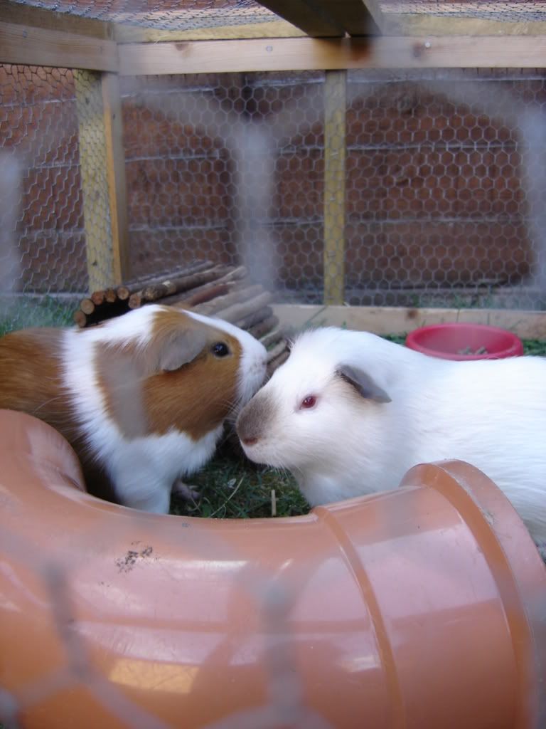 DSC01147.jpg