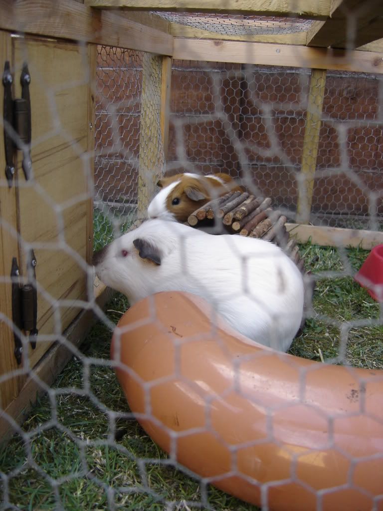 DSC01150.jpg