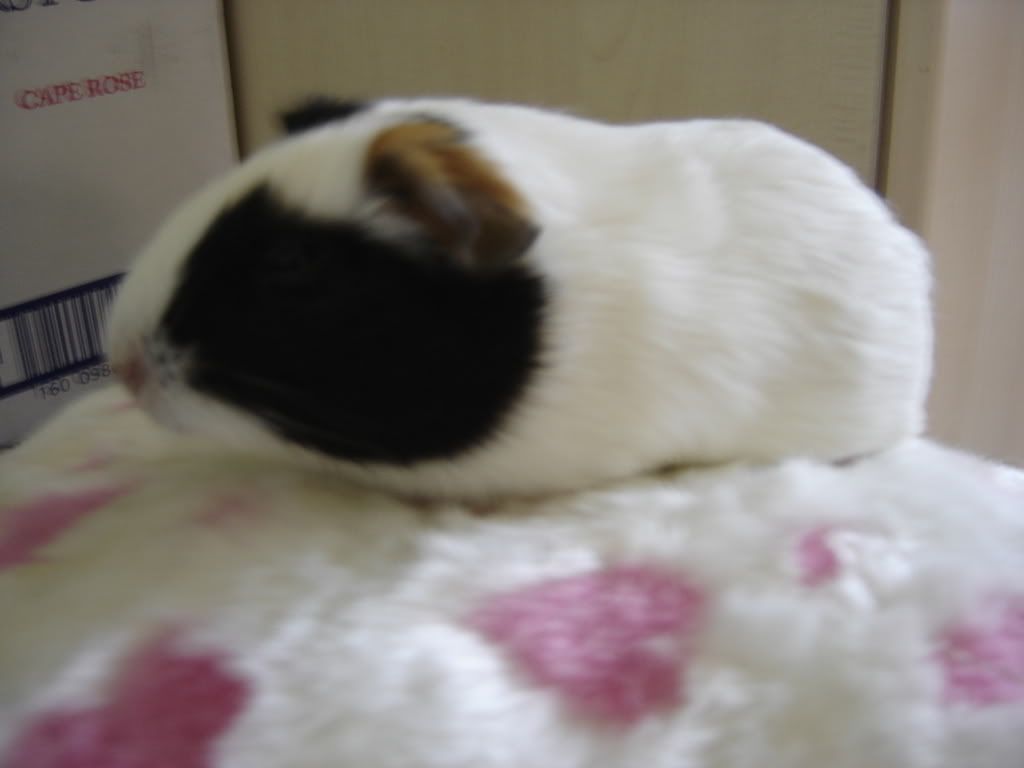 DSC01175.jpg