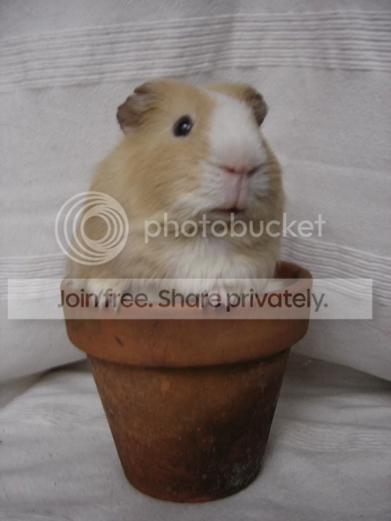 DSC01220.jpg