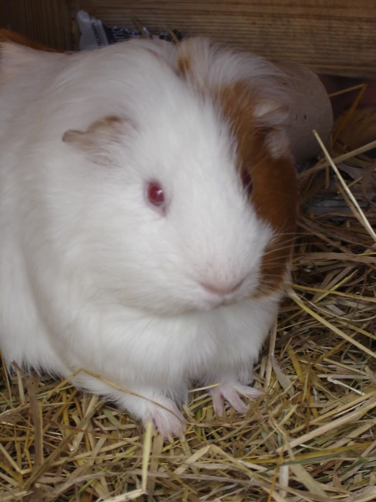 DSC01224.jpg