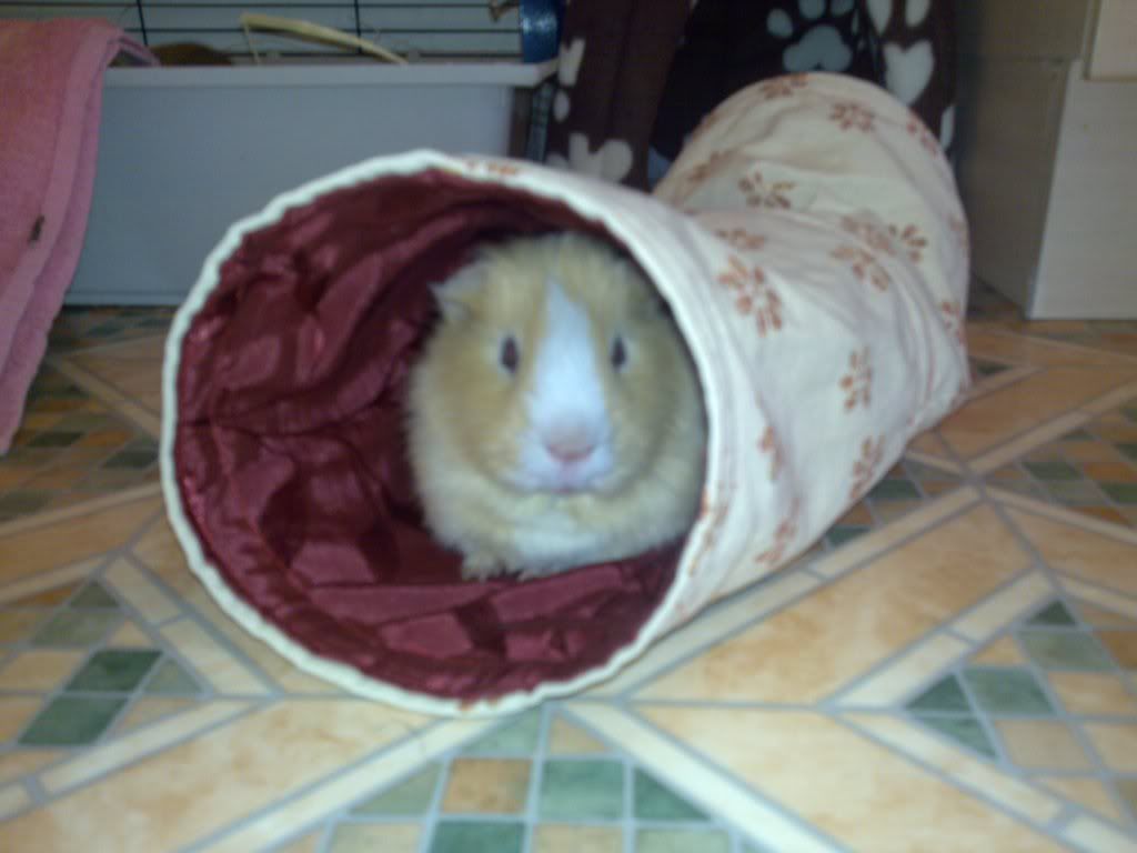 Joeinnewtunnel.jpg