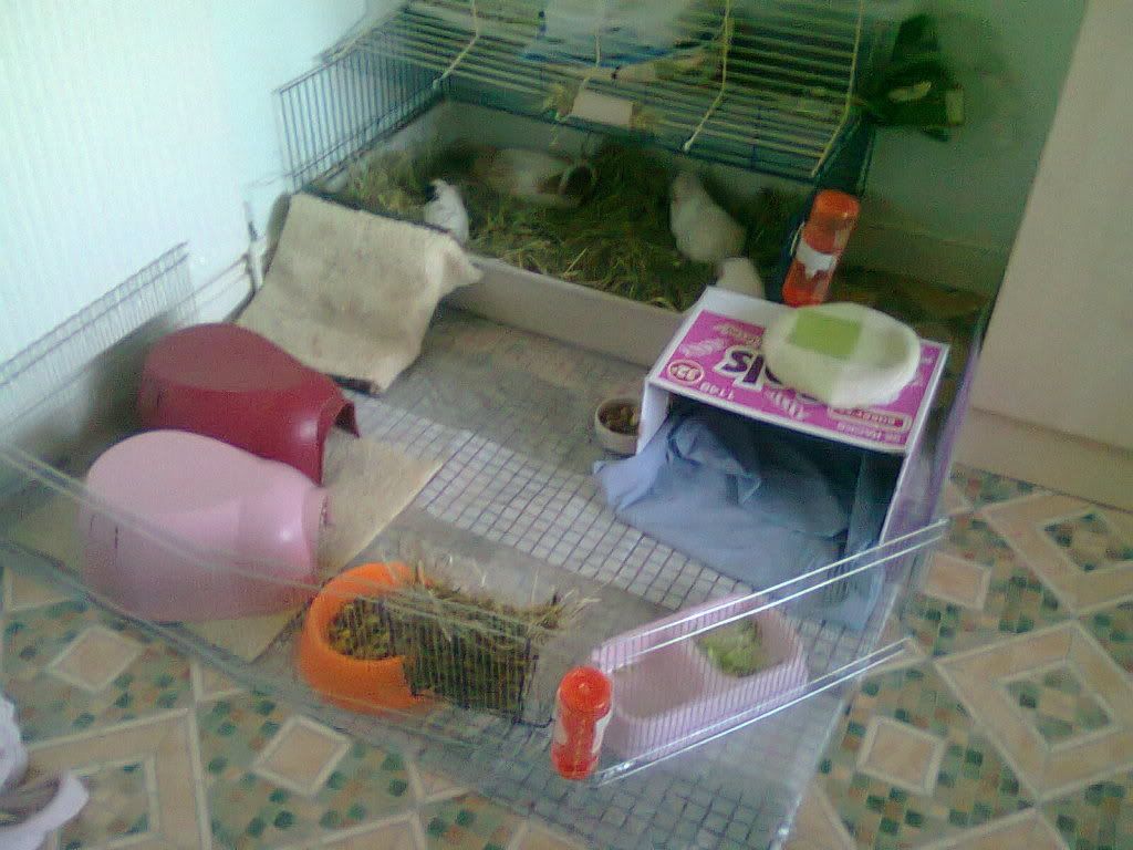 Photo0017.jpg
