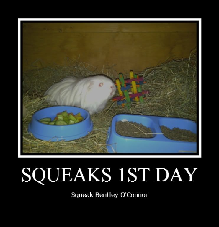 Squeakfirstday17thOctober2010-1.jpg