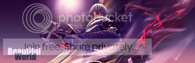 the twilight brigade banner