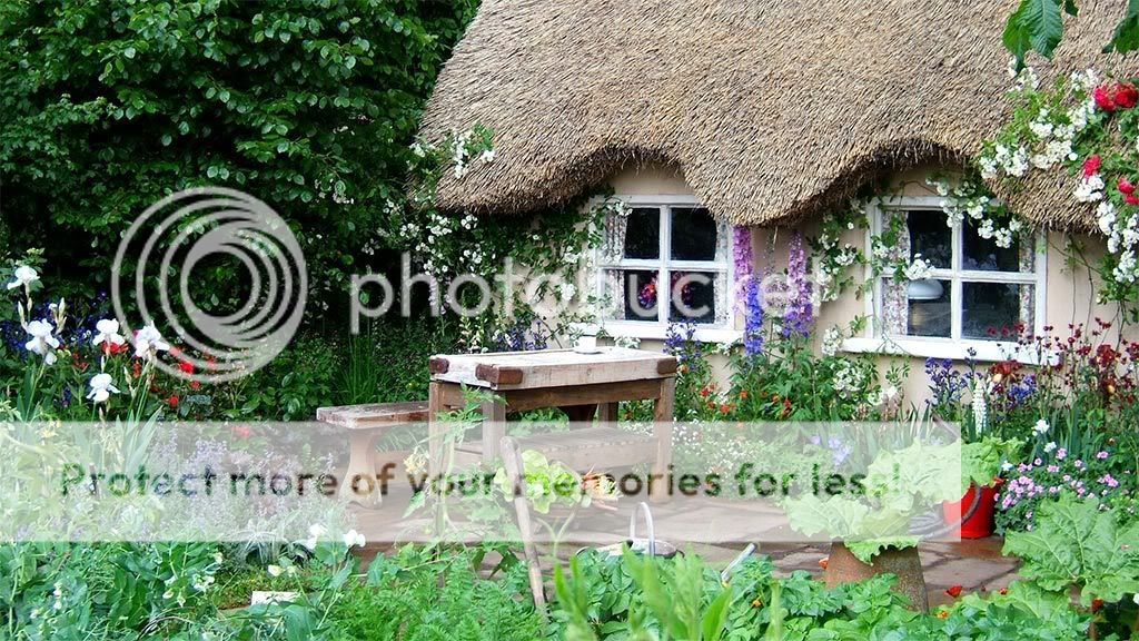 English cottage Pictures, Images and Photos