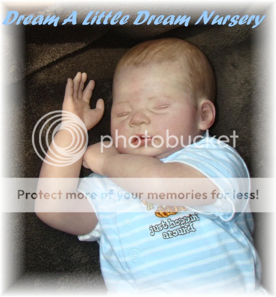 Adorable Reborn Baby  Tamie Yarie Landon Ltd Ed of 800  