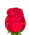 rosacnsorpresa.gif