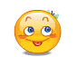 stupid21.gif