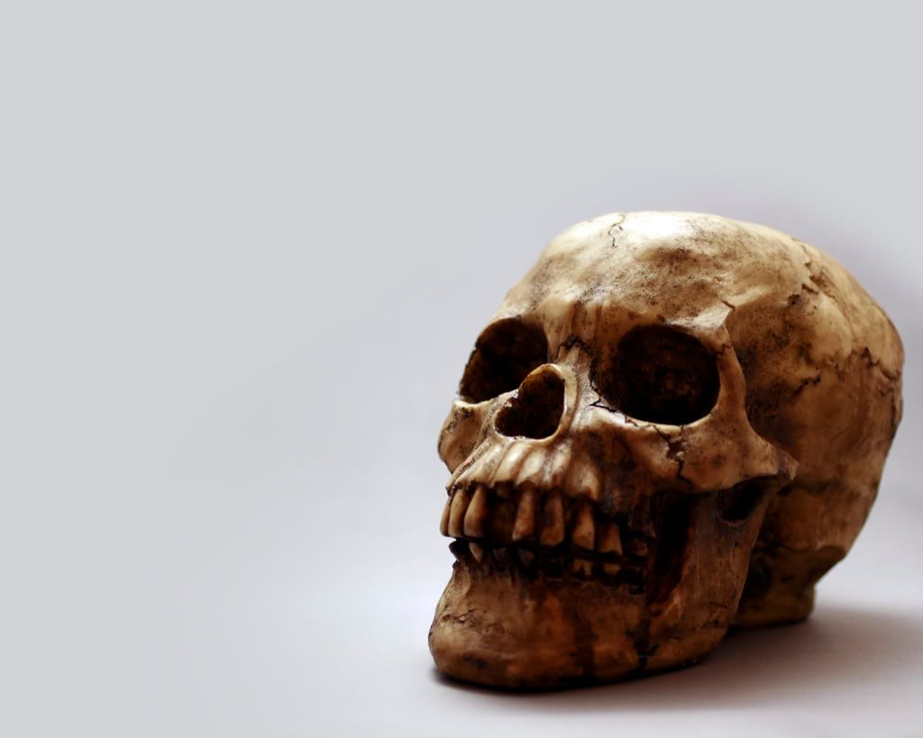 Skull_Wallpaper.jpg