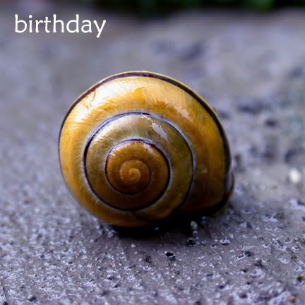 [PokeCommunity.com] OMG it's the epic Hazuki/Kisa's birthday!
